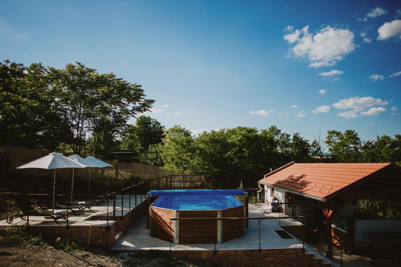 Hotel Buzas Pince Vendeghaz Ecséd Zewnętrze zdjęcie